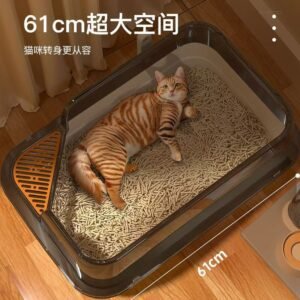 Муурны элсний сав