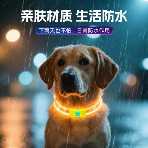 Асдаг хүзүүвч