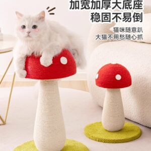 Мөөгөн маажуур