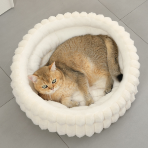 Минимал загвартай хэвтэр