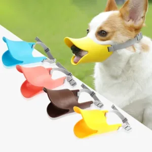 Нугасан хошуут хошуувч